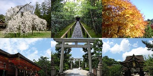京都にてのあれこれ