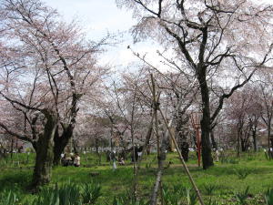 平野神社