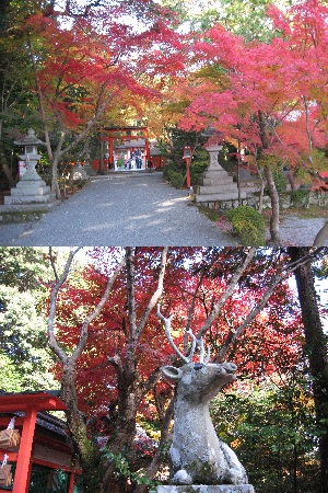 大原野神社