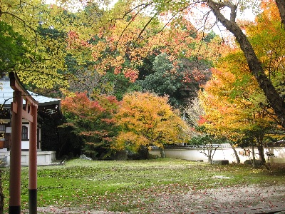 泉涌寺（善能寺）