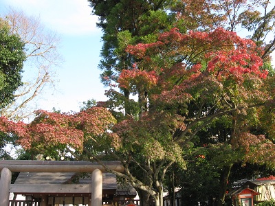 八坂神社