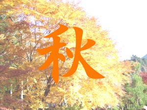 秋の写真