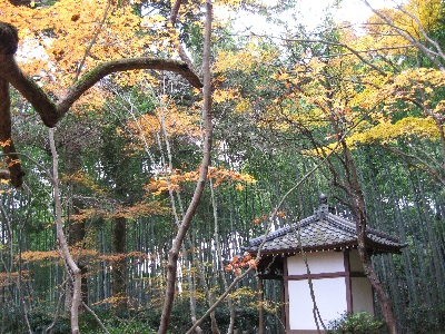 滝口寺