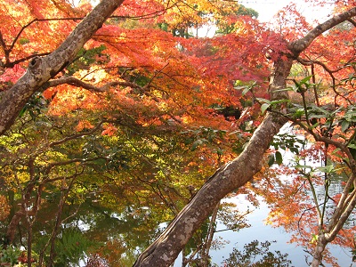 醍醐寺（下醍醐）