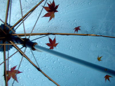 おまけ（神護寺）