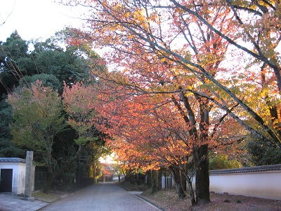 醍醐寺（下醍醐）