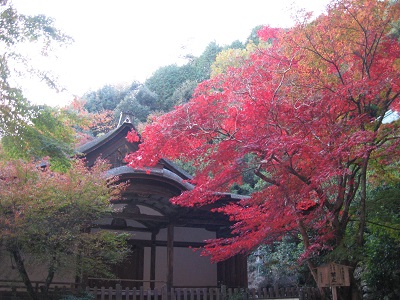 醍醐寺（上醍醐）