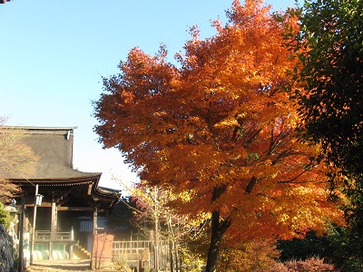 醍醐寺（上醍醐）