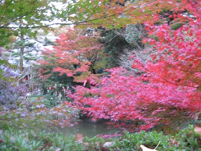 金剛王院（一言寺）
