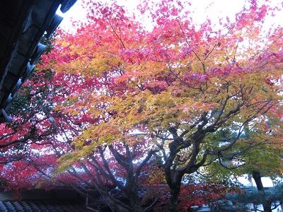 金剛王院（一言寺）