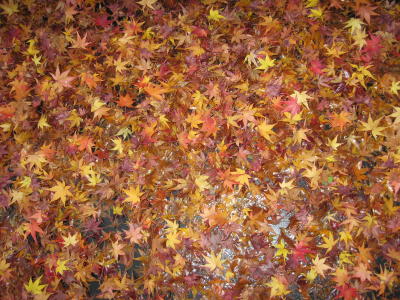 おまけ（霊山護国神社）