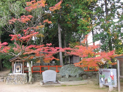 新熊野神社