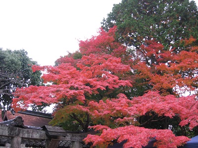 新日吉神社