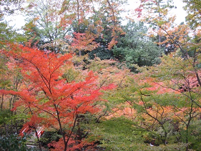 北野天満宮（御土居）