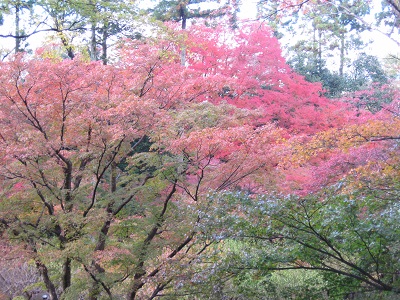北野天満宮（御土居）