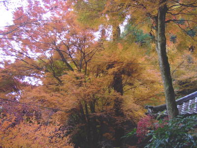 古知谷阿弥陀寺