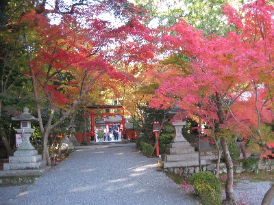 大原野神社