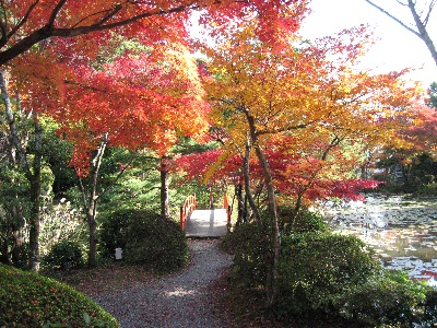 大原野神社