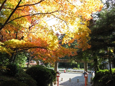 大原野神社
