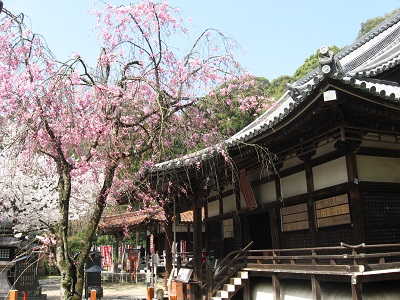 宝積寺（宝寺）