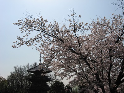 宝積寺（宝寺）