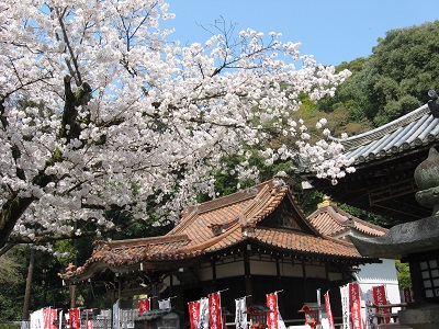 宝積寺（宝寺）