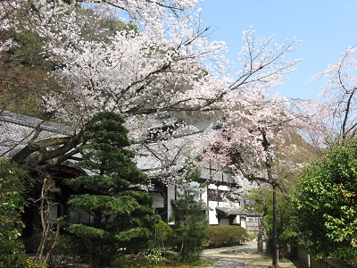 観音寺（山崎聖天）