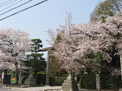 木嶋坐天照御魂神社（蚕の社）