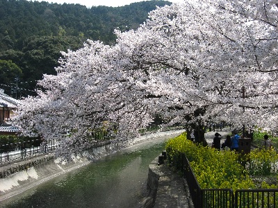 琵琶湖疏水（山科）