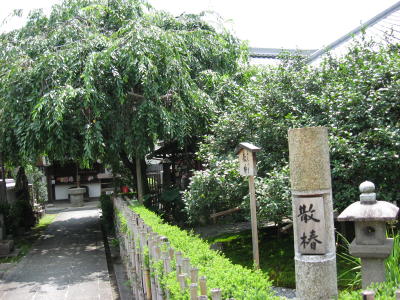 地蔵院（椿寺）
