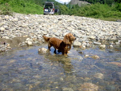 おまけ（宇津峡公園）