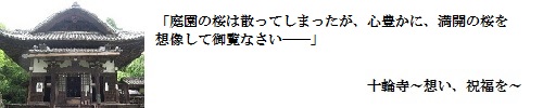十輪寺～想い、祝福を～