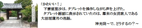 神光院～で、どうするの？～